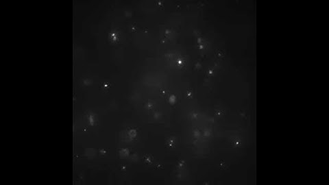 Zero-Mode Waveguide for nanopores