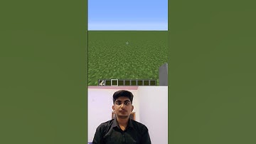 What If You Breed Jeb_ + Dinnerbone Sheep ? #shorts