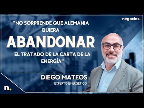"No sorprende que Alemania quiera abandonar el Tratado de la Carta de la Energ&iacute;a" Diego Mateos
