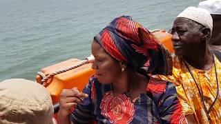 Ferry Barra to Banjul and dolphins, The Gambia