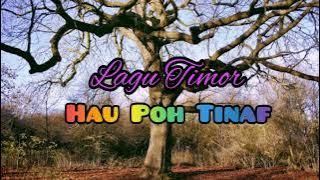 LAGU TIMOR TERBAIK || HAU POH TINAF || MTG