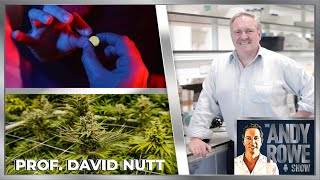 The TRUTH about Recreational Drugs | LSD, MDMA, Cannabis, Cocaine &amp; Alcohol | PROFESSOR DAVID NUTT