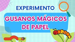 Experimento: Gusanos mágicos de papel [Ciencia para niños]