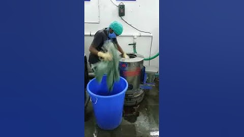 Hydro Extractor DD Machine