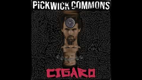 System Of A Down - Cigaro (Cover by Pickwick Commons) Metal