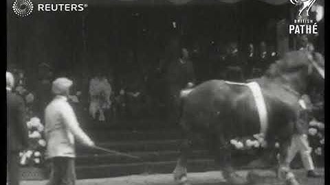 BELGIUM: King of Belgium at Stallion Fair in Brussels (1921)