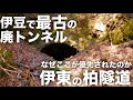 【廃墟巡り】伊東の柏峠にある伊豆で最古の廃トンネルを見に行く #廃墟探索 #静岡 #街歩き #伊豆半島