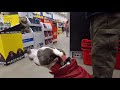 3yr Pitbull (Petey) | Dog Reactivity | Best Spokane Dog Behavior Modfication 3yr Pitbull (Petey) | Dog Reactivity | Best Spokane Dog Behavior Modfication