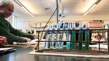 Limiting Reactant Lab: Setting the limiting reactant straight with group 8! Period 1 Group 8