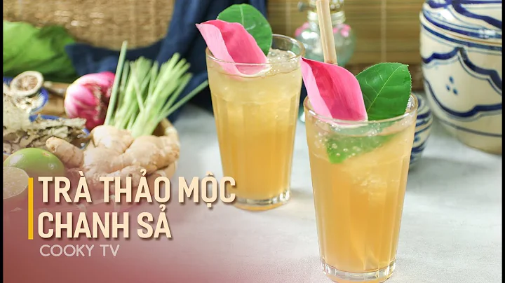 Top 12 trà mót hội an