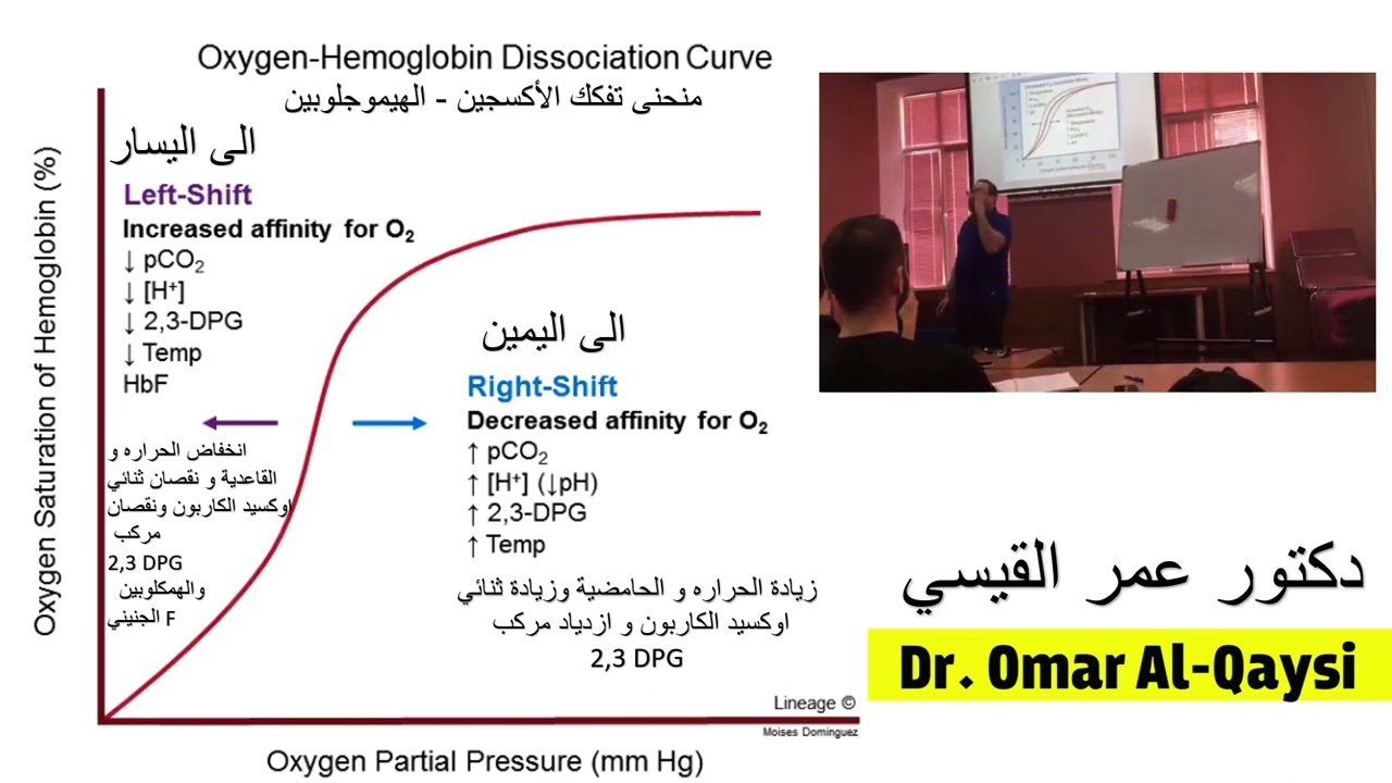 Oxygen hemoglobin dissociation curve l منحنى تحلل الأوكسي هيموغلوبين