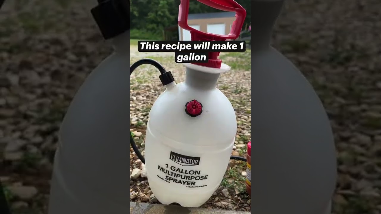 How to keep animals from eating your plants!