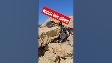 Axial Capra UTB10 4WS #rc #rchobby #rcmanitoba #remotecontrol #rctruck #rockcrawler #winnipeg