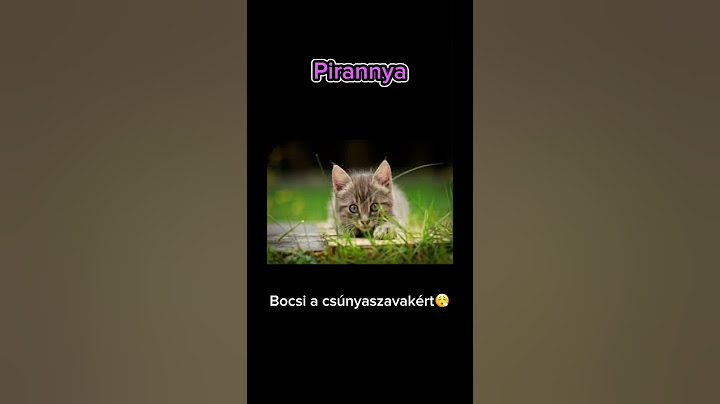 Macska párbeszéd part2😂 #funny
