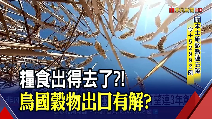 烏克蘭穀物出口將恢復? 美第一大糧商5千噸玉米順利運出 澳小麥產量有望創連3年新高 糧食短缺有解?｜非凡財經新聞｜20220606 - 天天要聞