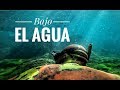 Documental - BAJO EL AGUA, apnea&pesca Submarina