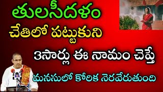 తులసి దళం చేతిలో పట్టుకుని మూడు సార్లు ఈ నామం చెప్తే మనసులో కోరిక నెరవేరుతుంది chaganti pravachanam screenshot 5