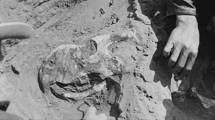 From the Archives - Central Asiatic Expeditions: F...