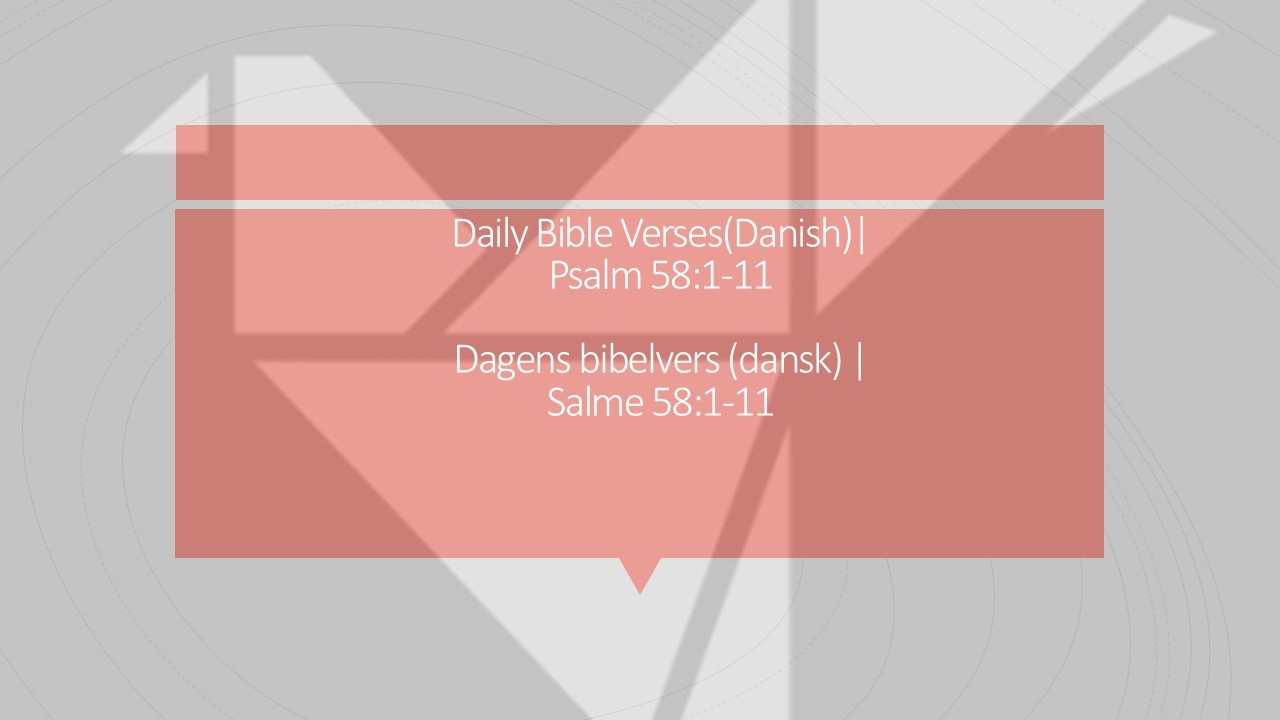 VVLGlobal-Ebullient Services