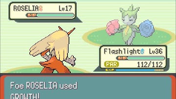 Pokémon Emerald Part 22 - Uncle!