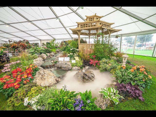 Southport Flower Show 2018 Highlights