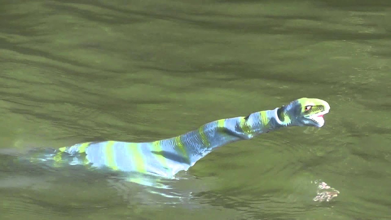 ラジコン ネッシー RC LOCH NESS Monster - YouTube