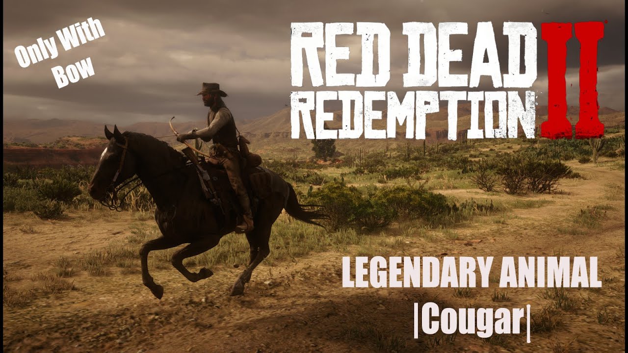 Red Dead Redemption 2 Pc Legendary Animal Hunt Cougar Youtube