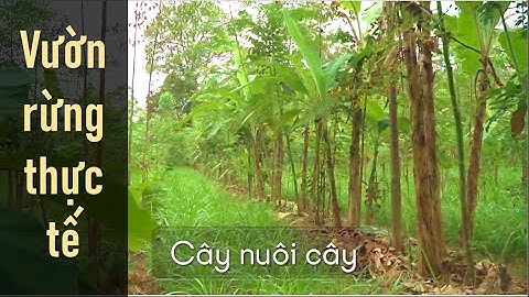 Học từ Vườn rừng thực tế 1 Ha (tại Ecuador)