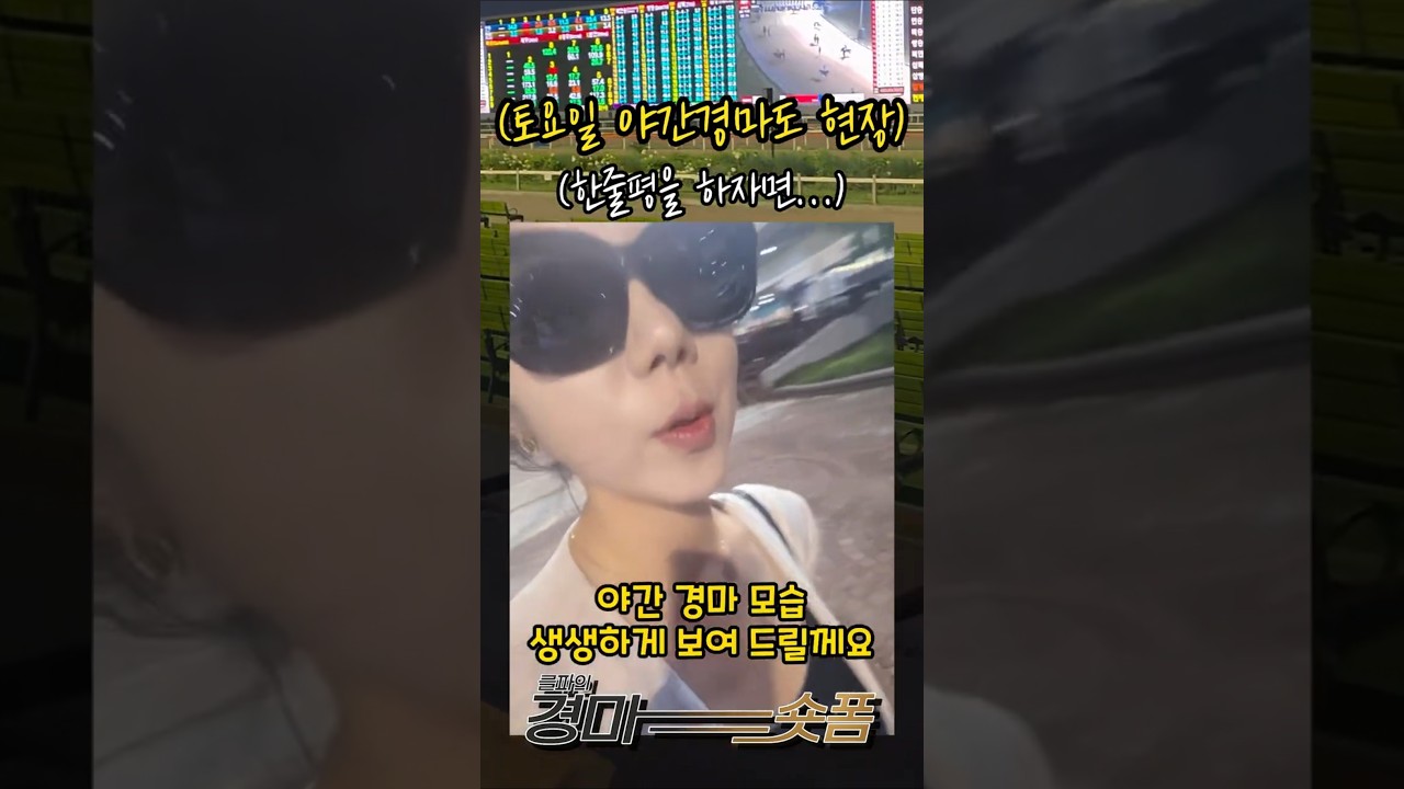 1년 만에 돌아온 야간경마장… 무슨 일이 있었을까?
