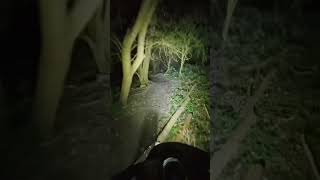 Mtb in the dark | Exposure lights 🔦 #mtb #nighttime #exposurelights