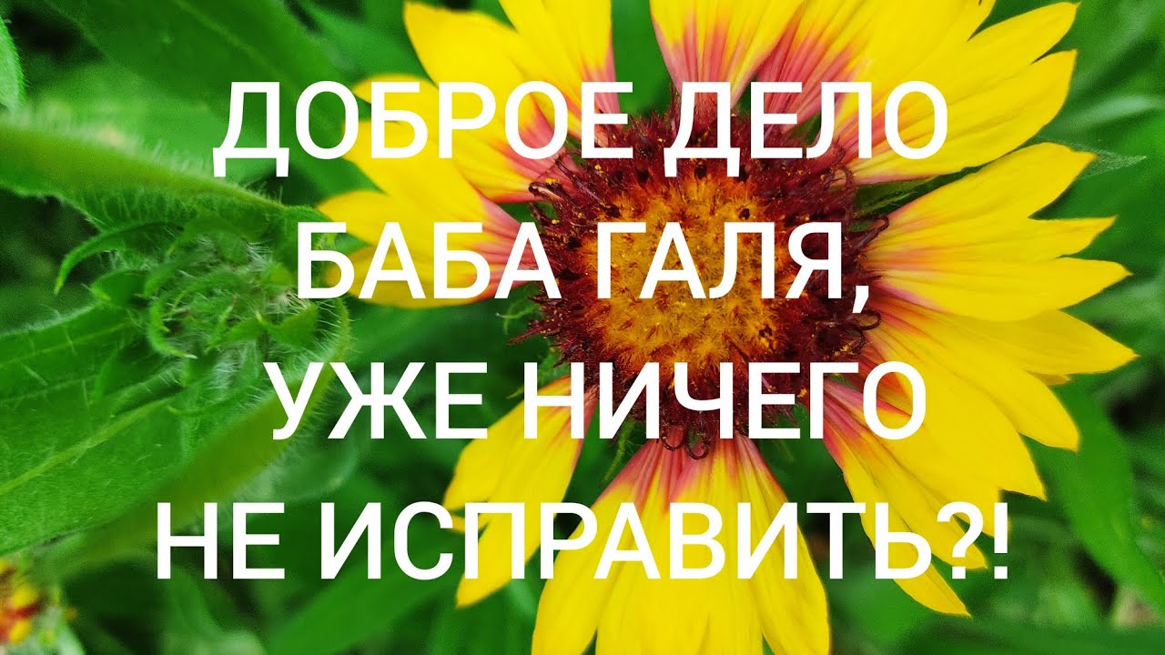 Добрые дела женщины. Баба Галя делать добро. Баба Галя. Баба Галя Белокатай отзывы.