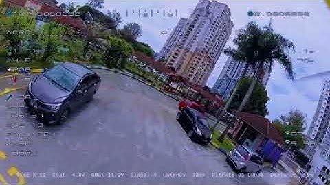 Darwin Fold Ape 4 using Standard CLI HD