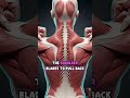 “Your Back Isn’t Growing Because of This One Mistake” #backworkout #musclegrowth #gymmistakes