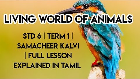 Online class for samacheer 6th std | 6th science|the living world of animals 6th std|samacher kalvi
