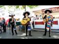 Guantanamera Mariachi Acapulco