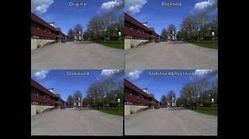 Rectifying Rolling Shutter Video from Hand-Held Devices