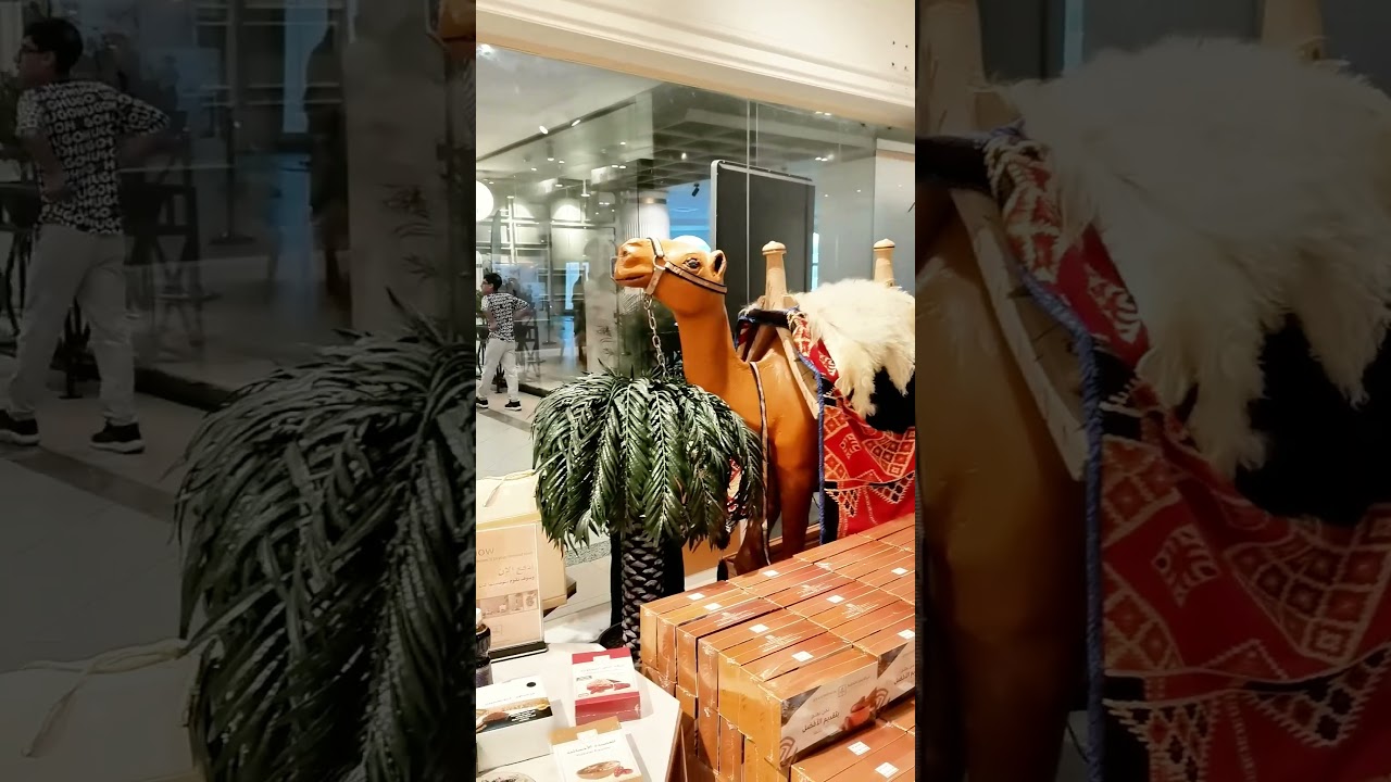 HOFUF AL HASA AL QARAH MOUNTAIN ALSO KNOWN AS JUDAS CAVE.