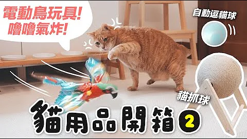 #猫用品开箱【电动鸟玩具！让噜噜气炸了！】志铭与狸猫 - 天天要闻