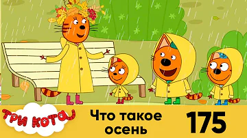 Три кота | Серия 175 | Что такое осень | Мультфильмы для детей
