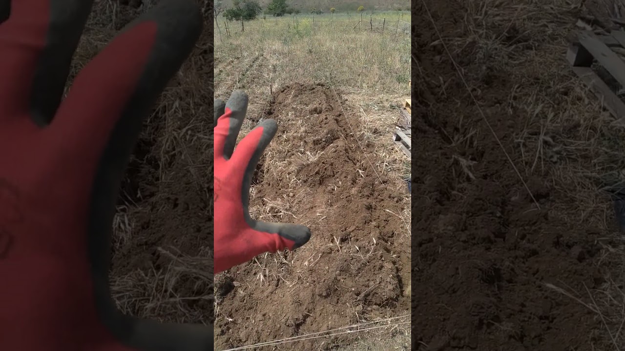 Hacer un bancal desde cero, resumido en 1 minuto