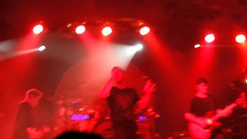 Example - Shot Yourself In The Foot Again + Wrong In The Head live in Cologne 2012 x3