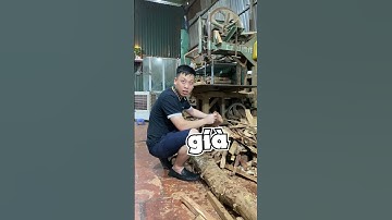 Lý Giải Giá Trị Thật Của Chiếc Vòng Sưa I Tượng Gỗ Đẹp