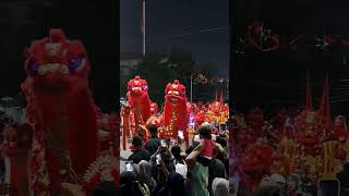Kostum Barongsai - Semarang night carnival 2024
