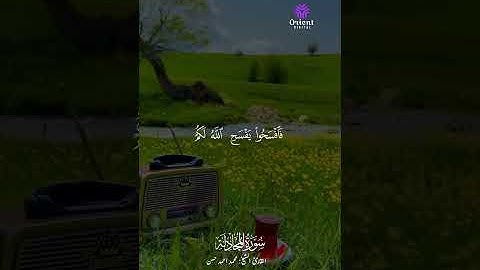 القارئ محمد أحمد حسن – صوت يبعث الطمأنينة ماتيسر من سورة المجادلة #القارئ_محمد_أحمد_حسن #تلاوة_مؤثرة