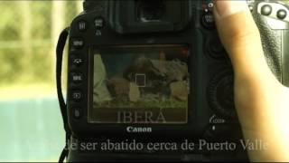 Francisco y Nato, Reintroducción del Tapir en Iberá