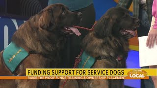 Ambass-a-dogs Maverick & Goose preview Raise the Woof Shindig event