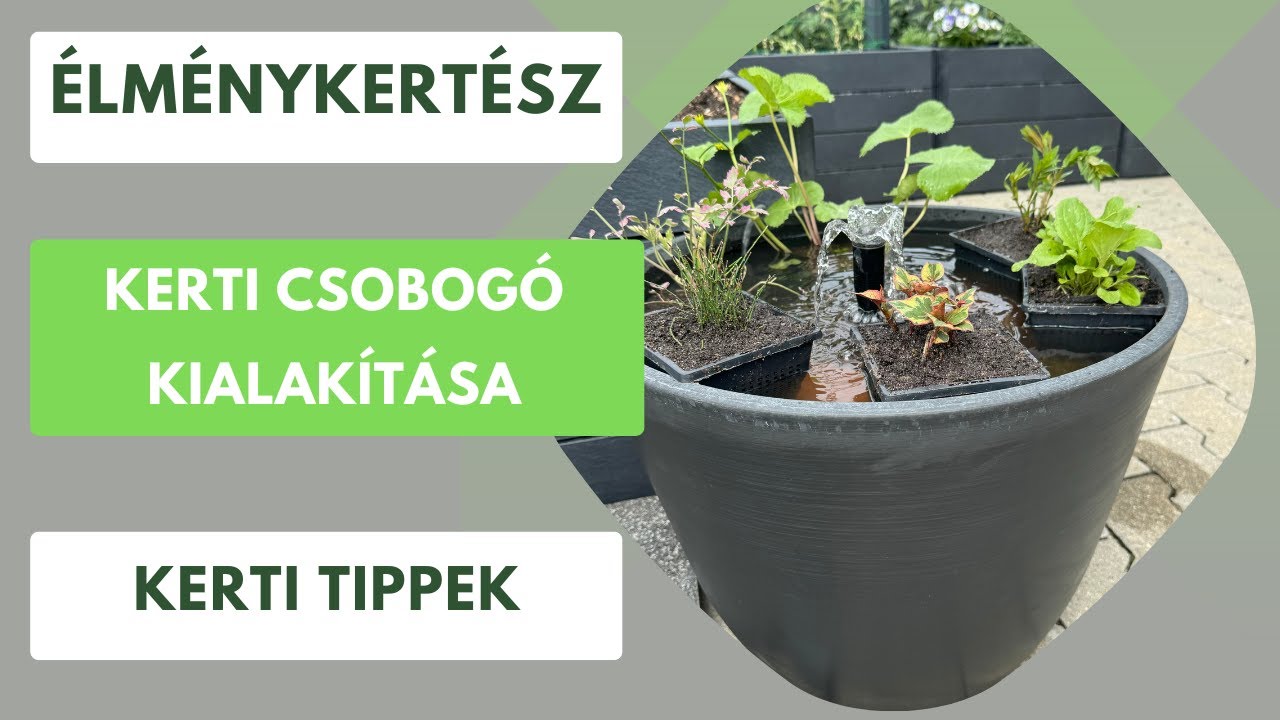 Csobogó a kertben💧
