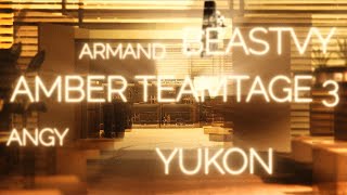 amber teamtage 3
