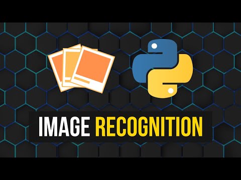 Image Classification with Neural Networks in Python