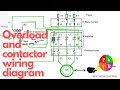 3 Phase Motor Contactor Connection